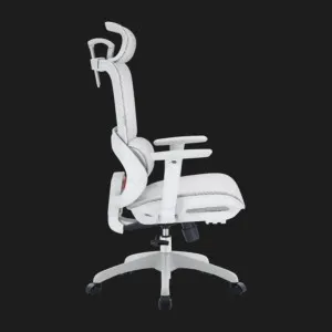 Кресло эргономичное Sihoo (B100-B102-JT) (Mesh White) +подставка для ног в Берегово