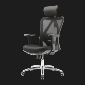 Кресло эргономичное Sihoo (M18-N107) (Mesh Black) в Берегово