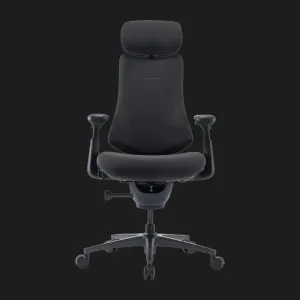 Эргономичное кресло LiberNovo Omni Pro (Graphite) (CP-GW-0000078-00-05) в Берегово