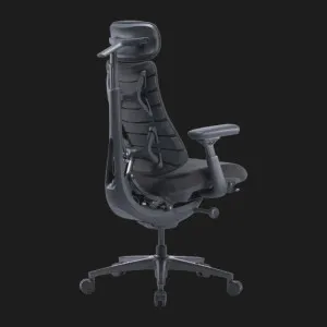 Эргономичное кресло LiberNovo Omni Pro (Graphite) (CP-GW-0000078-00-05) в Берегово