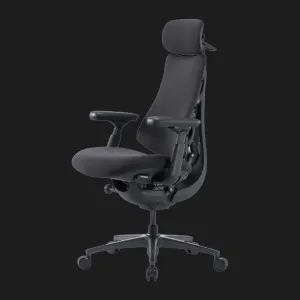 Эргономичное кресло LiberNovo Omni Pro (Graphite) (CP-GW-0000078-00-05) в Берегово