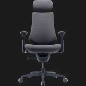 Эргономичное кресло LiberNovo Omni Gen (Graphite) (CP-GW-1000088-00-05) в Берегово