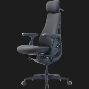 Эргономичное кресло LiberNovo Omni Gen (Graphite) (CP-GW-1000088-00-05) в Берегово