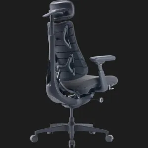 Эргономичное кресло LiberNovo Omni Gen (Graphite) (CP-GW-1000088-00-05) в Берегово