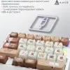 Клавіатура Ajazz AK029 Meow Magnetic Switch (AK029-M-Y) (UA)