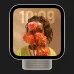 Apple HomeView (Starlight) (2026)