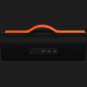 Портативная акустика Xiaomi Sound Party (Black)