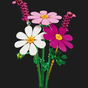 Конструктор LEGO Botanicals Цветы космеи (11514)
