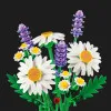 Конструктор LEGO Botanicals Ромашки (11508)