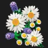 Конструктор LEGO Botanicals Ромашки (11508)